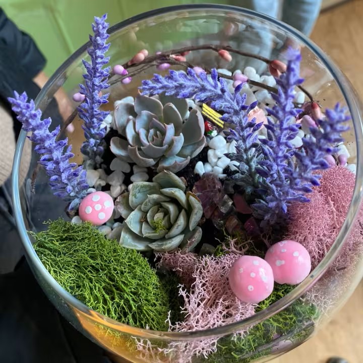 event-img-Create Your Own Open Glass Succulent Terrarium