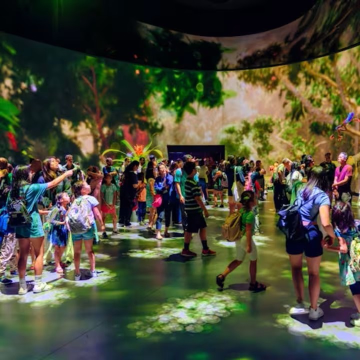 event-img-American Museum of Natural History: Add-On Ticket