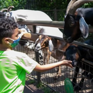 event-img-Discover Animals & Attractions at Central Park Zoo
