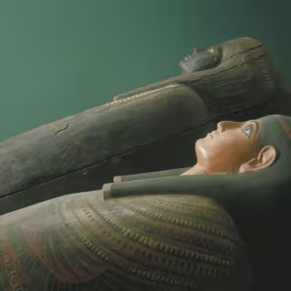 event-img-Beat the Crowds: Field Museum Early Access Tour