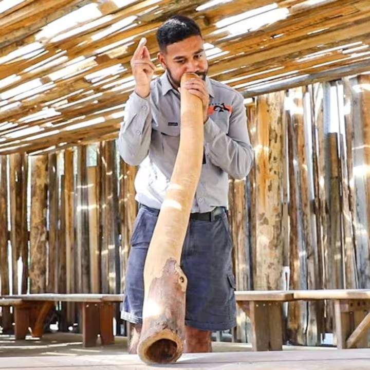 event-img-Sydney Zoo – A Day of Wildlife Adventure in the City