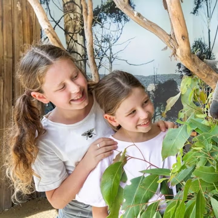 event-img-Sydney to Blue Mountains & Zoo – Guided Day Tour