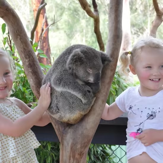 event-img-Visit Australian Reptile Park | Wildlife & Adventure