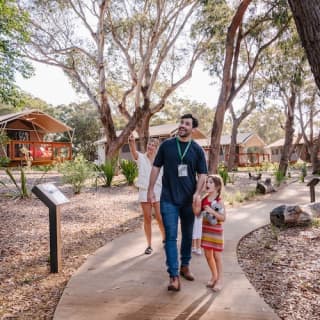 Port Stephens Koala Experience – Sanctuary Entry Tickets