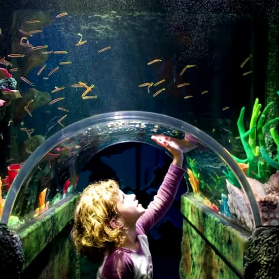 event-img-Save Time & Money with Sydney Multi Attraction Pass