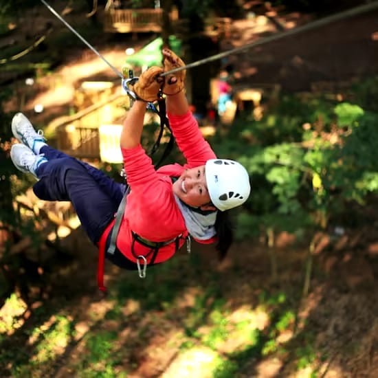 event-img-Treetops Adventure Nowra Park – High Ropes & Forest Fun