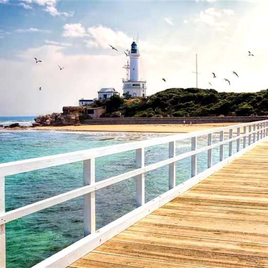 Around the Bay: Scenic Cruise & Melbourne Sights