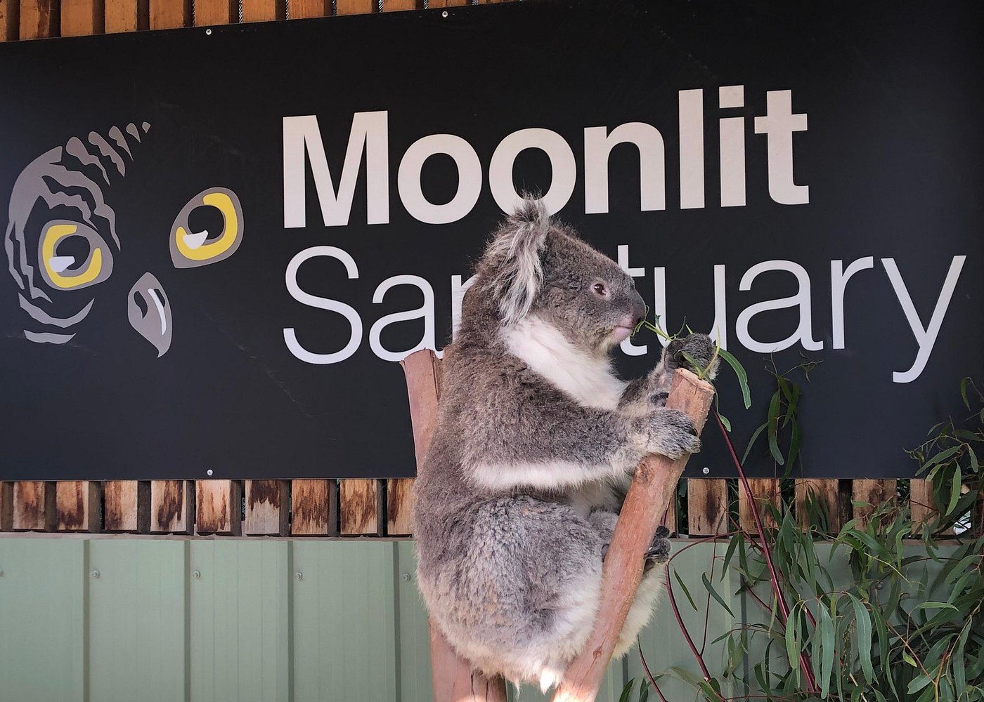 Phillip Island Afternoon Day Trip – Small Group from Melbourne