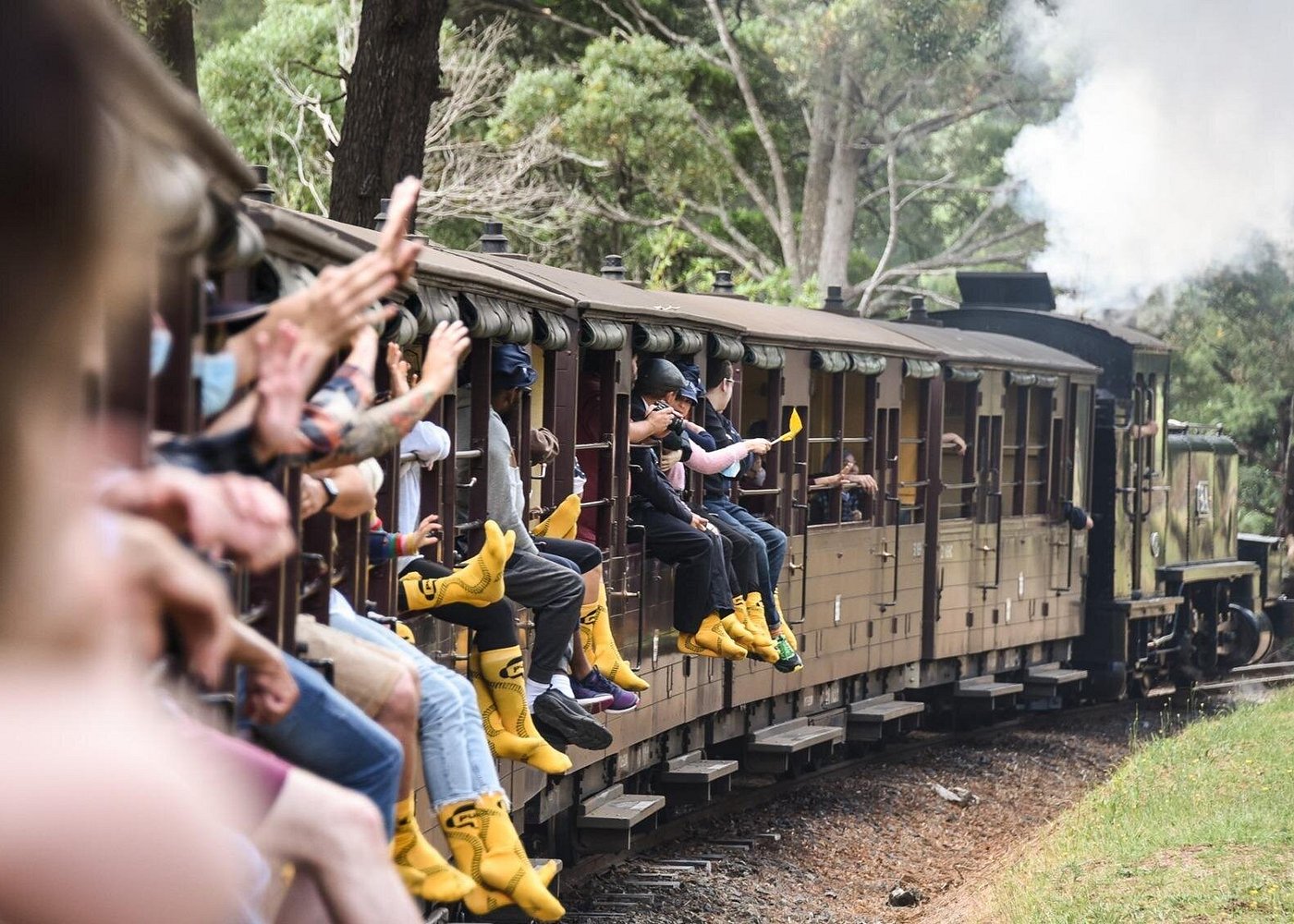 Ride the Puffing Billy Steam Train & See Penguins Up Close