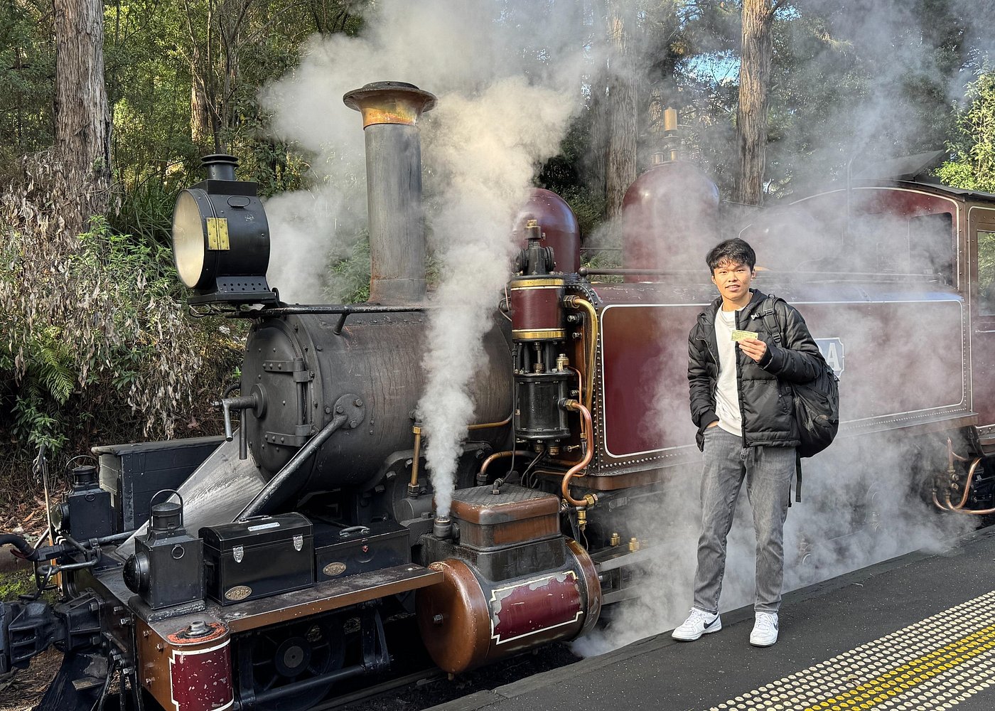 Puffing Billy Steam Train Tour and Yarra Valley Delights
