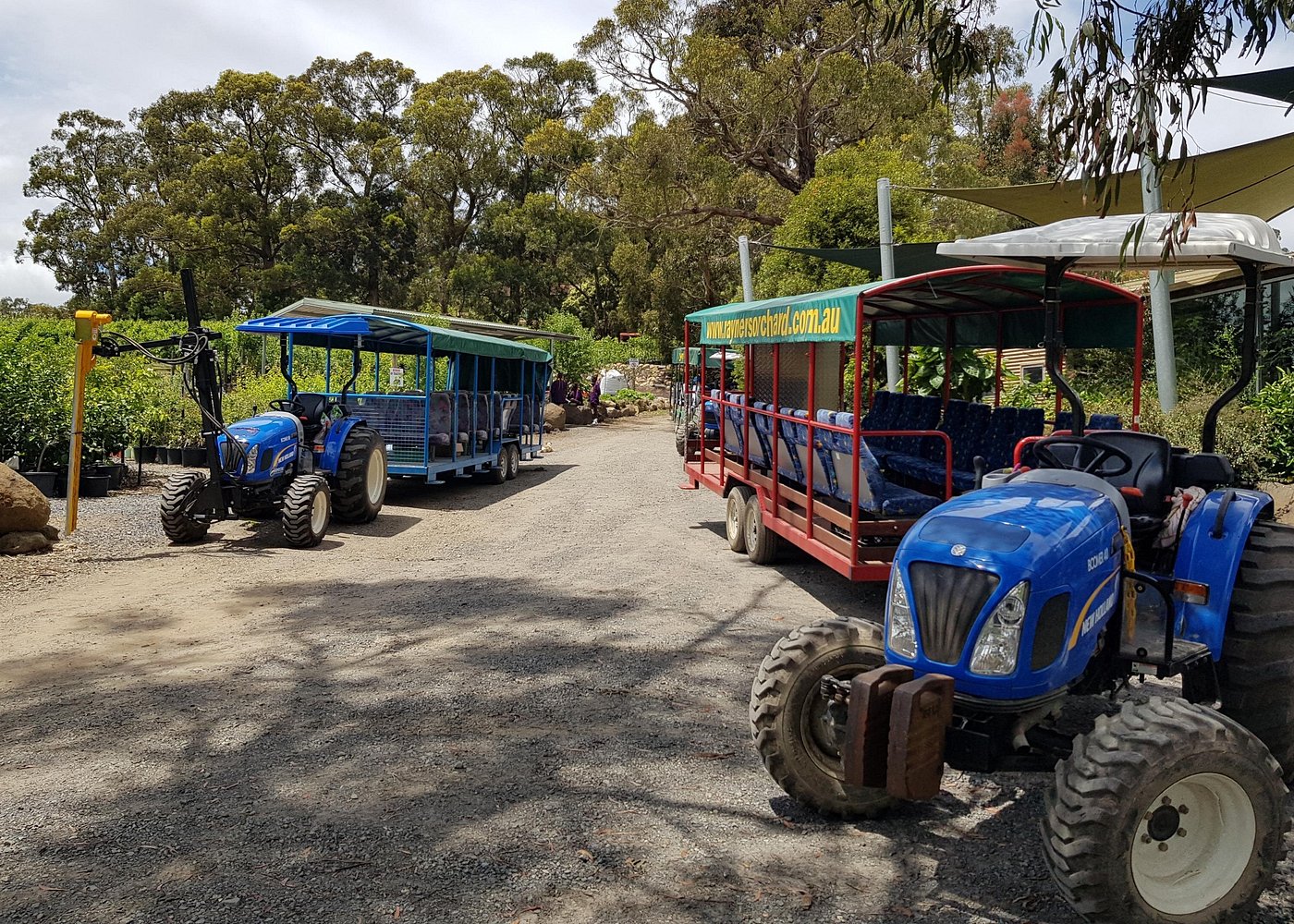 Pick, Ride & Taste: Small-Group Tractor Tour at Rayner’s Orchard
