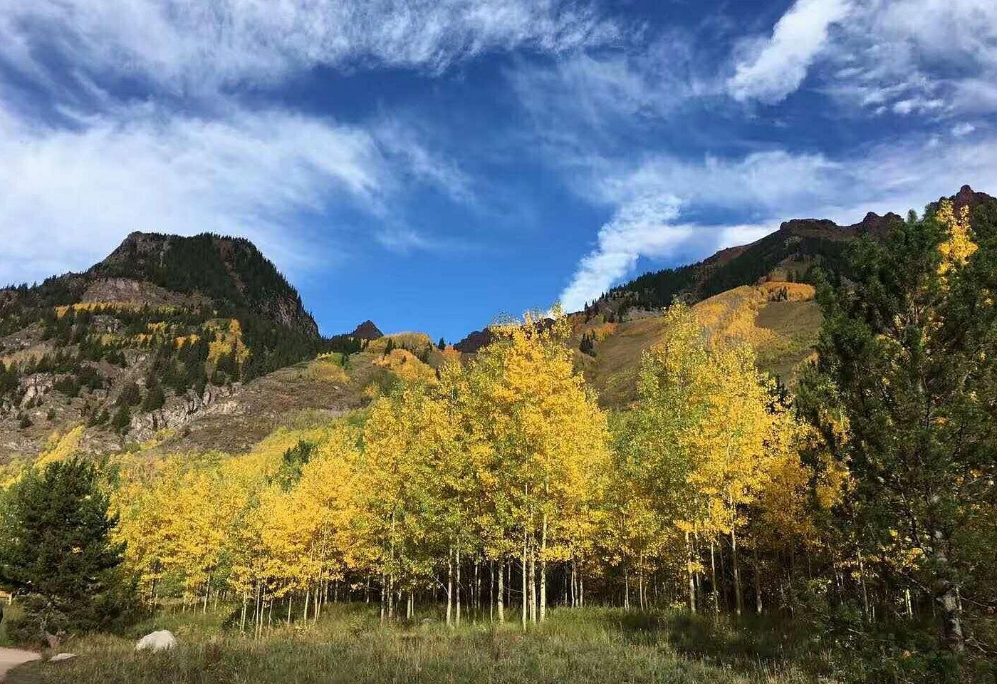 event-img-Seattle Escape: Mount Rainier National Park Small-Group Tour