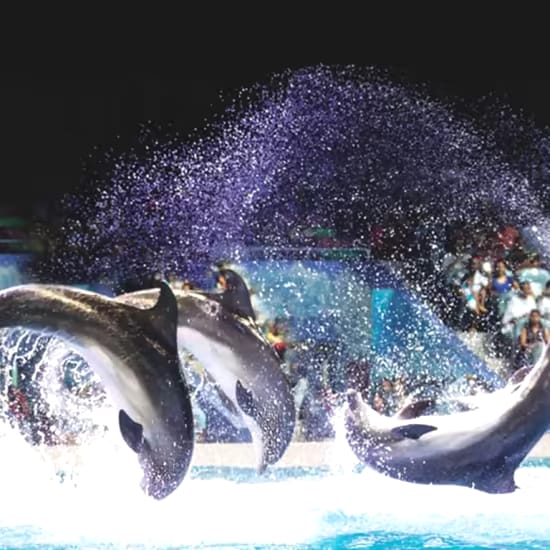 Dubai Opera: A Journey Through Design & Innovation