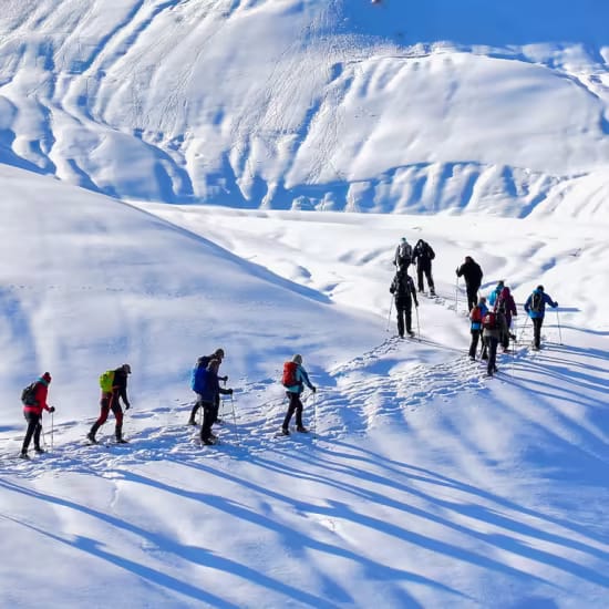 Group Snowshoe Adventure in Vancouver