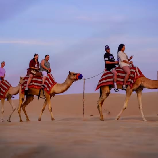 event-img-Premium Desert Safari with Camel Ride, Falconry & BBQ Dinner