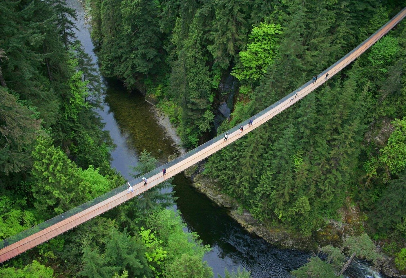 Capilano Suspension Bridge & Vancouver Lookout Sightseeing Tour