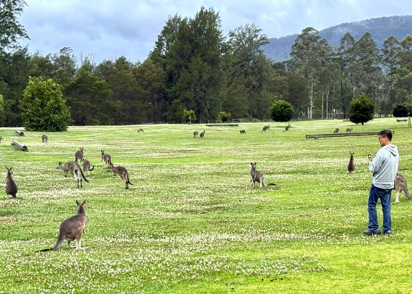 event-img-WILD Wombat & Kangaroo Day Tour – All Inclusive