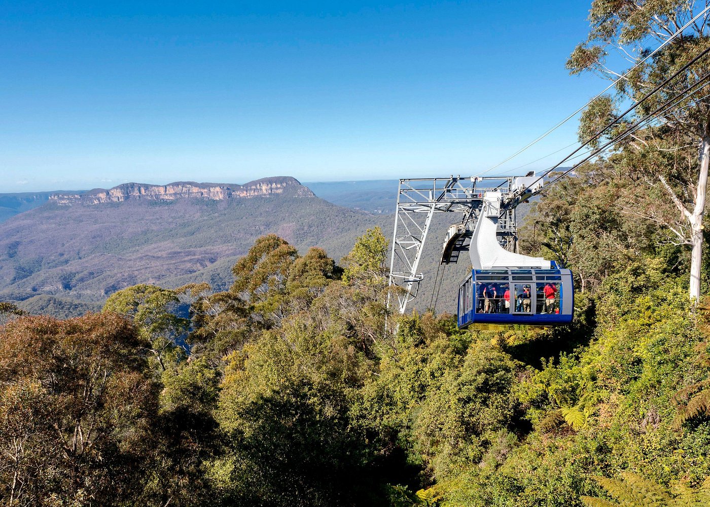 event-img-All-Inclusive Blue Mountains Tour with Koalas, Scenic World & Lunch