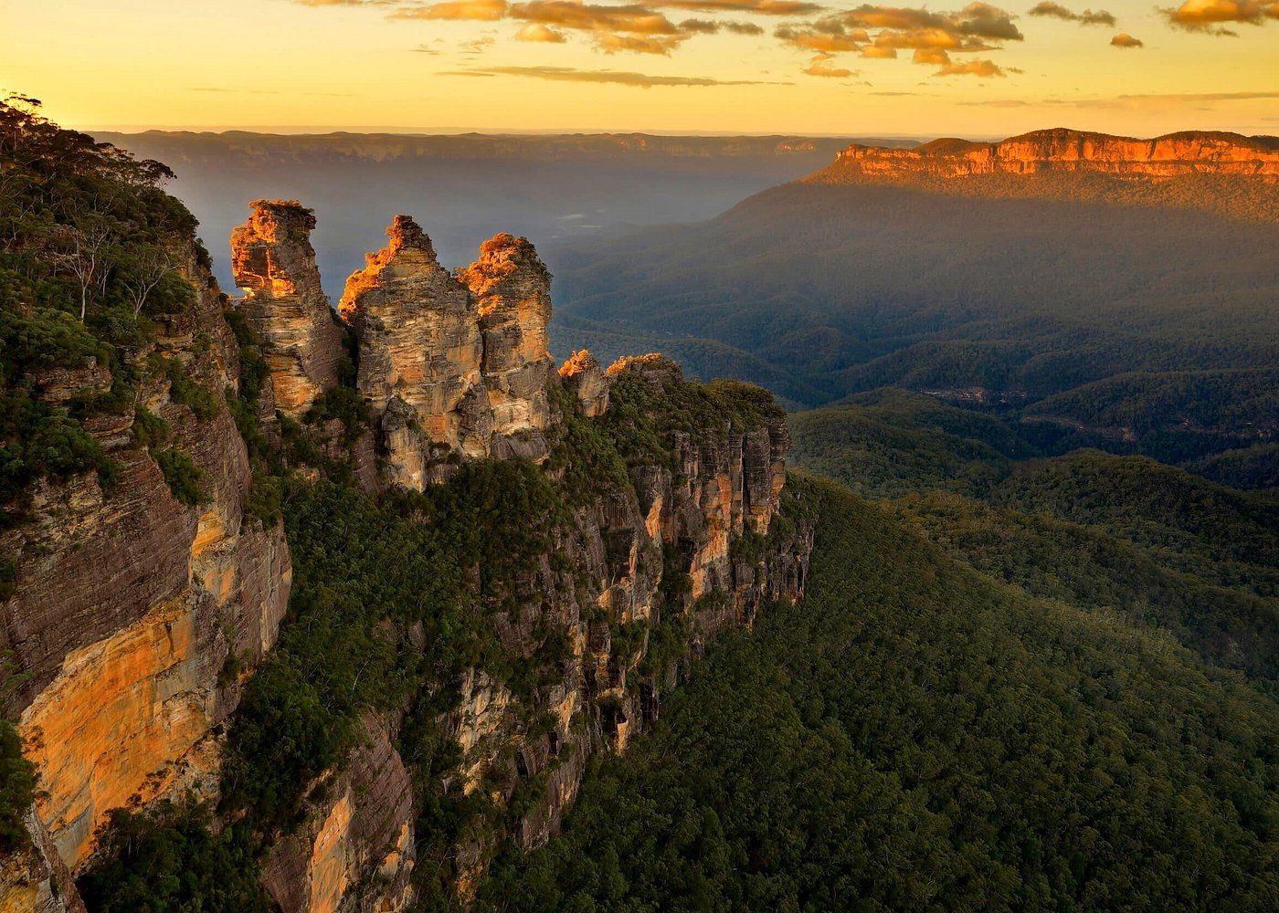 event-img-Up Close with Wild Kangaroos at Sunset in the Blue Mountains