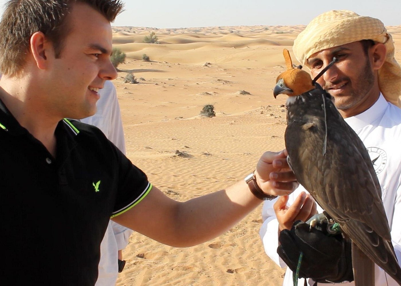 Experience Falconry in Dubai: Private Falcon 1 Safari