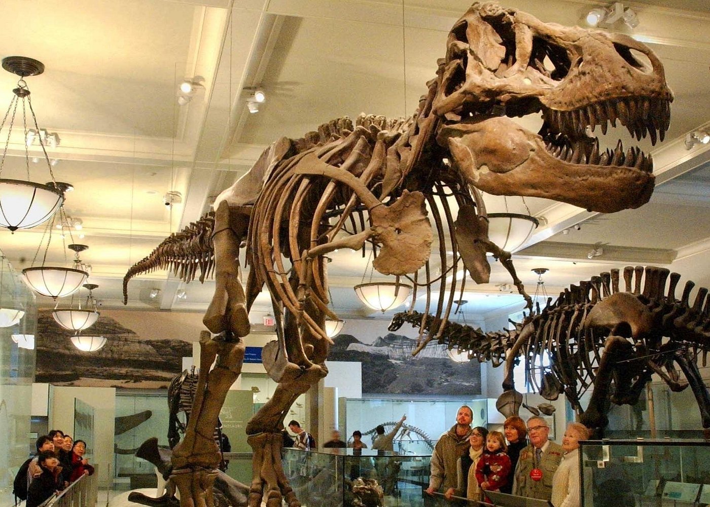 event-img-Admission Ticket to the American Museum of Natural History