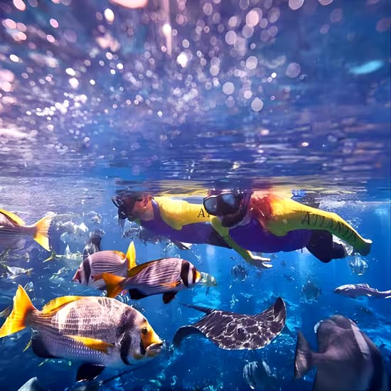 event-img-Explore Dubai Lost Chambers with the Ultimate Snorkel Experience