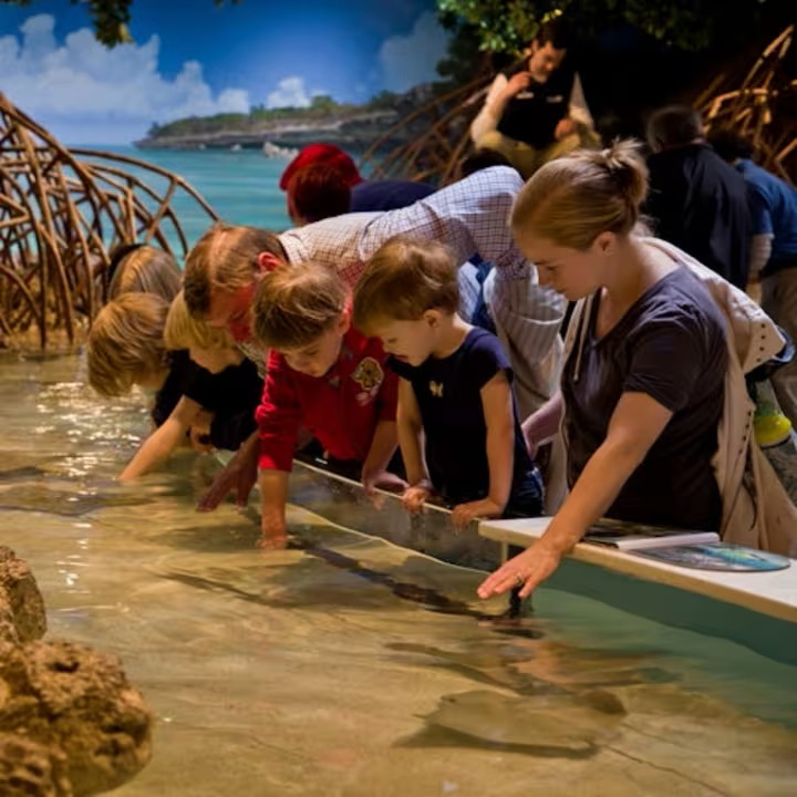 event-img-Explore the Wonders of the Sea: New England Aquarium Entry Ticket