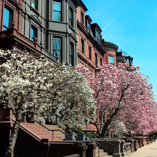 event-img-Back Bay & Downtown Boston Mystery Picnic: Foodie Adventure