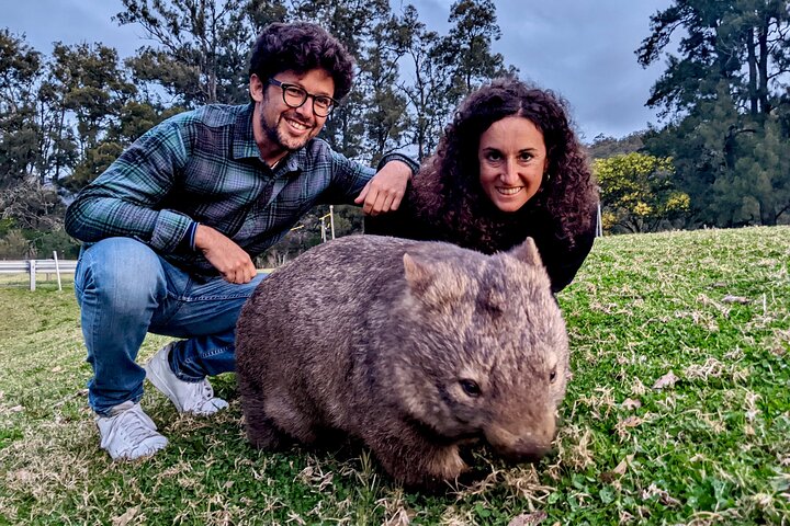 event-img-Wild Wombats and Kangaroos Day Trip from Sydney