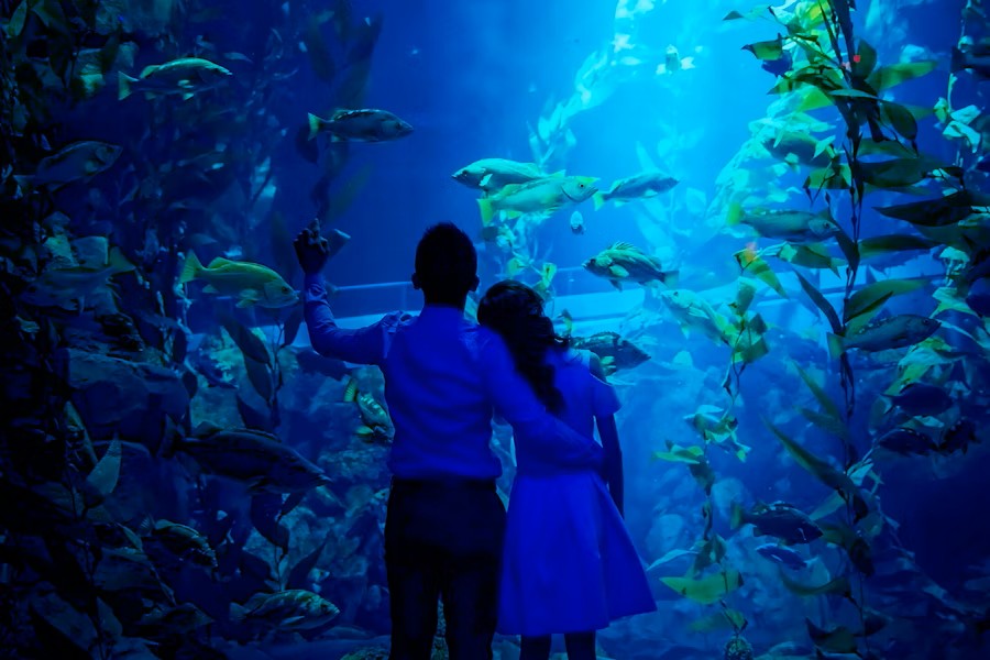 event-img-Toronto Ripley’s Aquarium Sharks After Dark Tickets