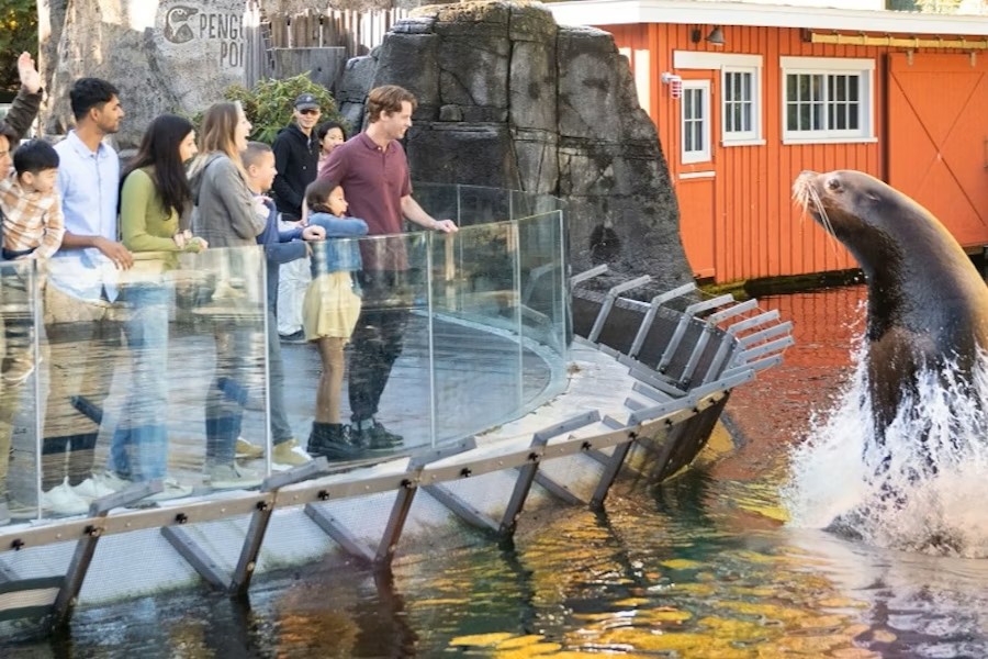 event-img-Vancouver Aquarium Admission Tickets