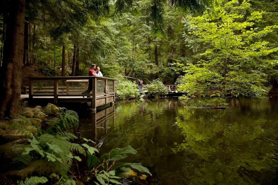 event-img-VanDusen Botanical Garden Vancouver Admission Tickets