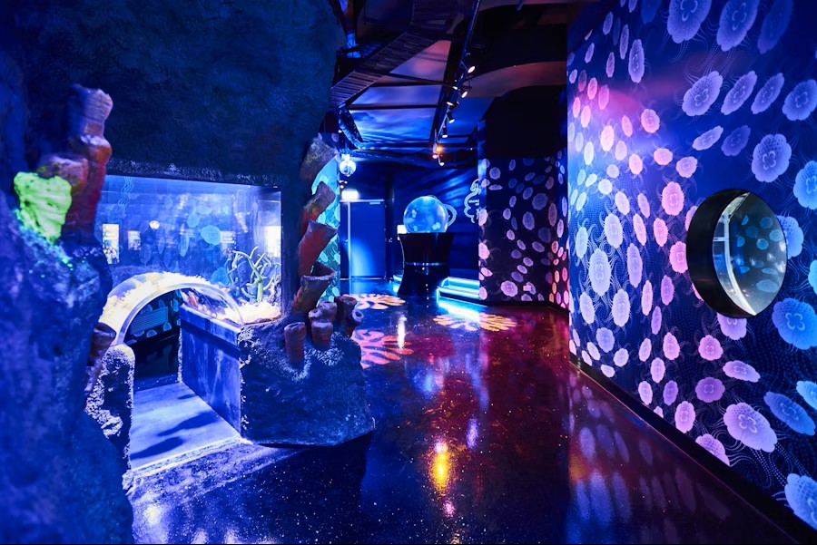 Melbourne SEA LIFE Aquarium Admission Tickets