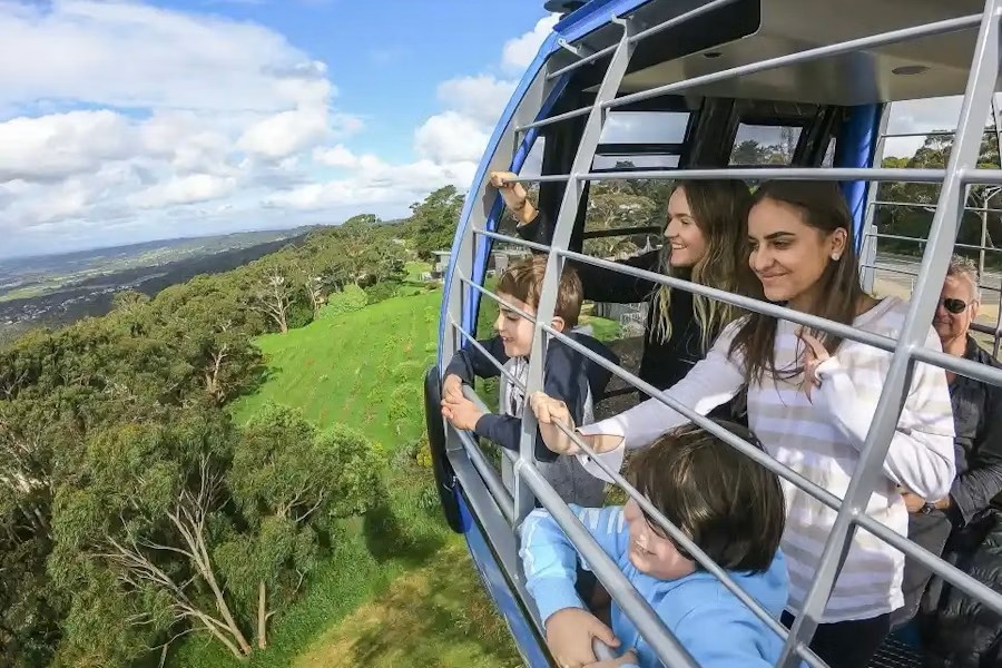 Arthurs Seat Eagle Roundtrip Cable Car Tickets with Drink