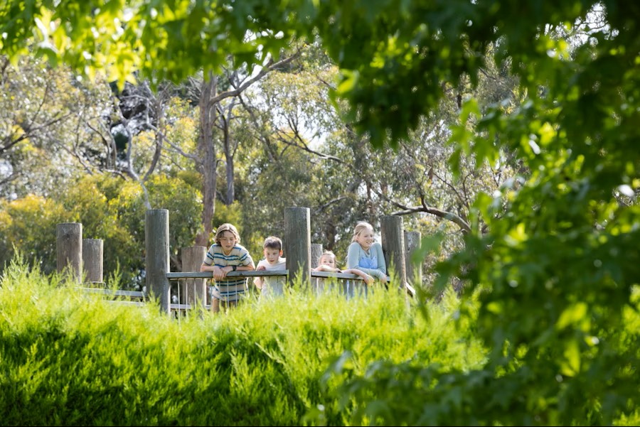 Melbourne Ashcombe Maze and Lavender Gardens Admission Tickets