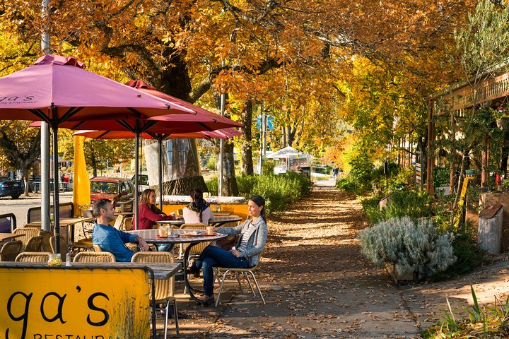 Lake Mountain Snow Day Trip from Melbourne with Scenic Views