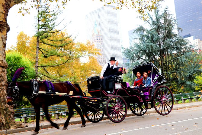 event-img-Romantic Central Park Horse-Drawn Carriage Ride