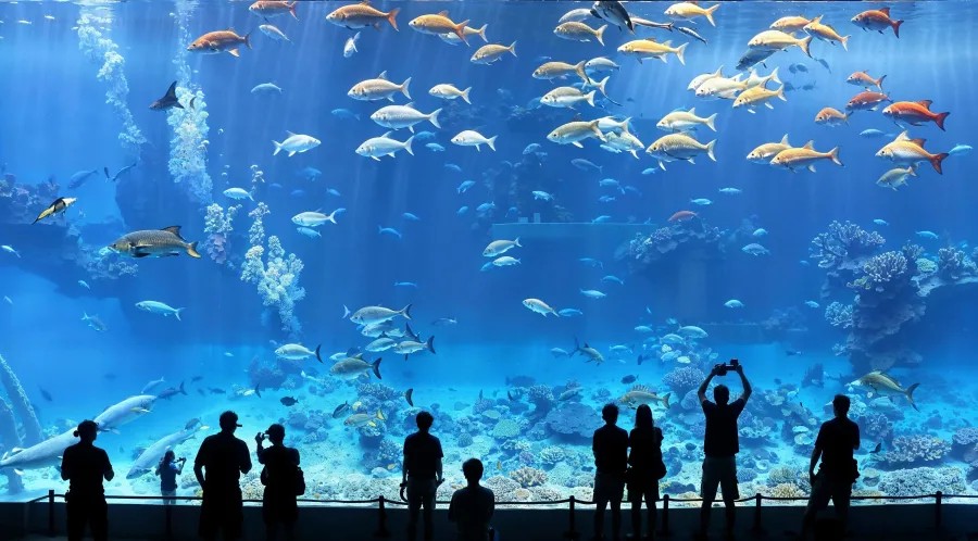 event-img-New York Aquarium Admission – Family-Friendly Experience