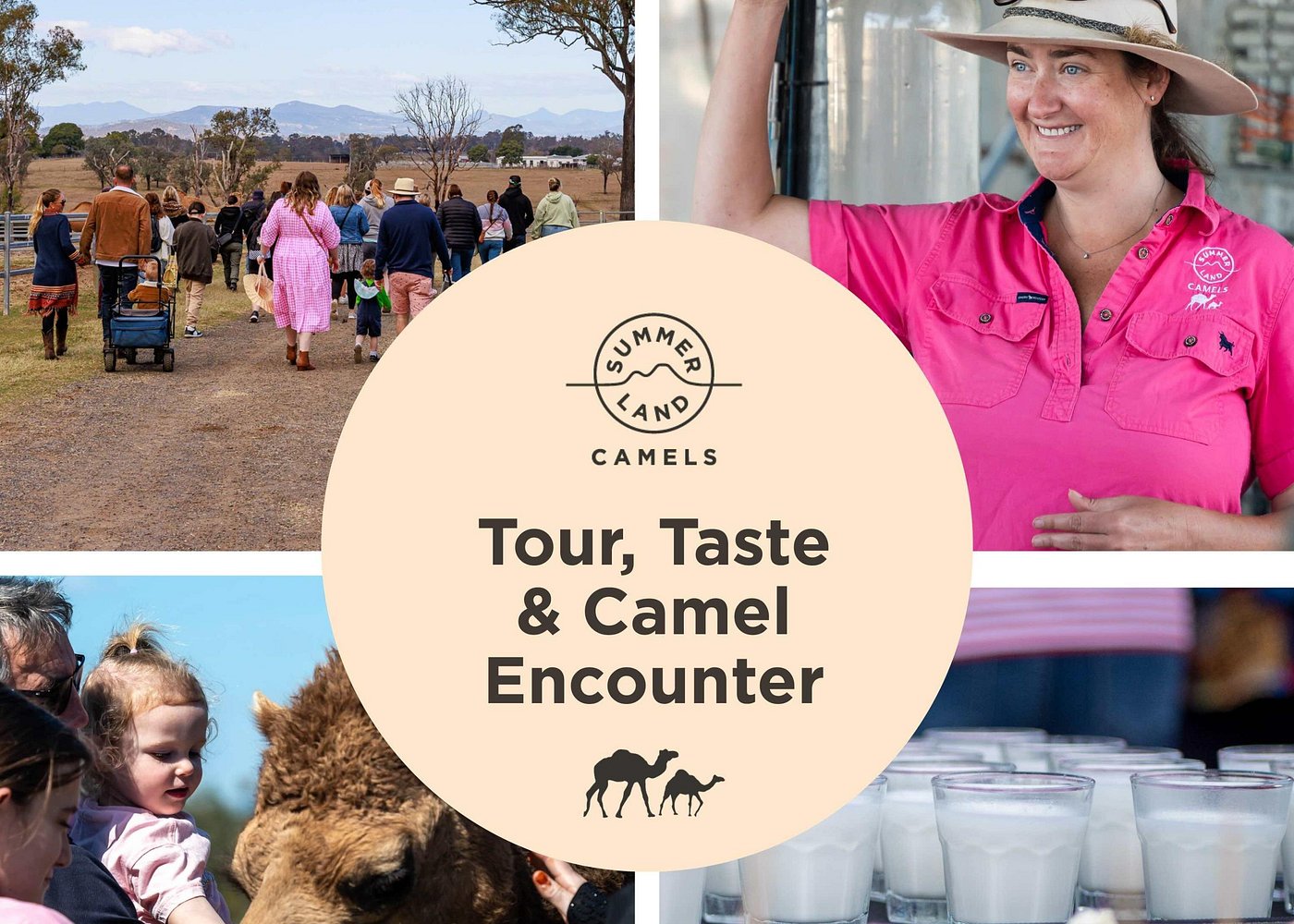 event-img-Camel Encounter and Local Flavors Tour