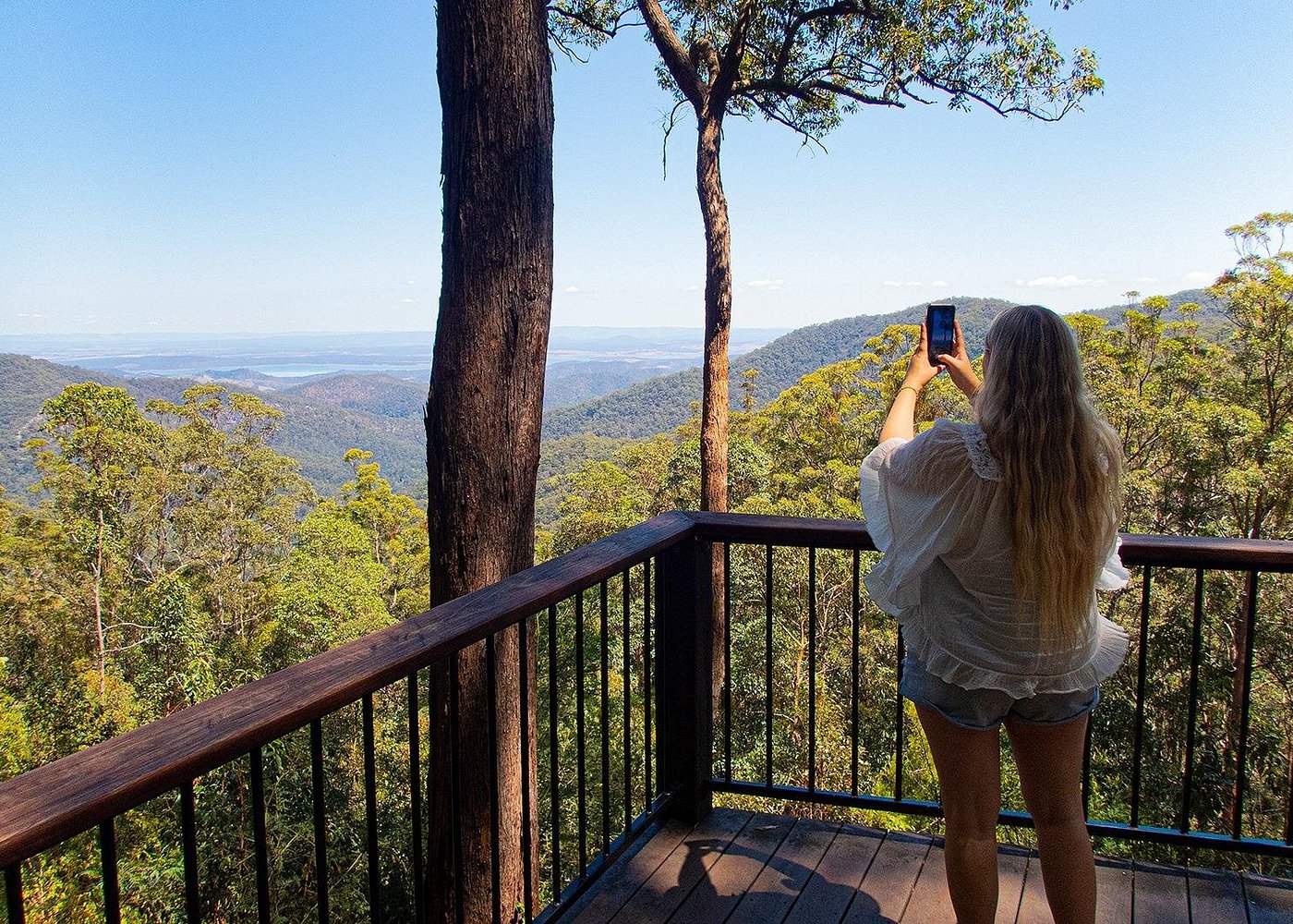 event-img-Brisbane Hinterland Tour: Mount Glorious to Mount Mee