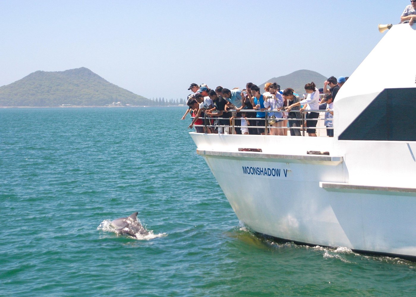 event-img-Port Stephens Highlights Tour from Sydney with Dolphins & Sandboarding