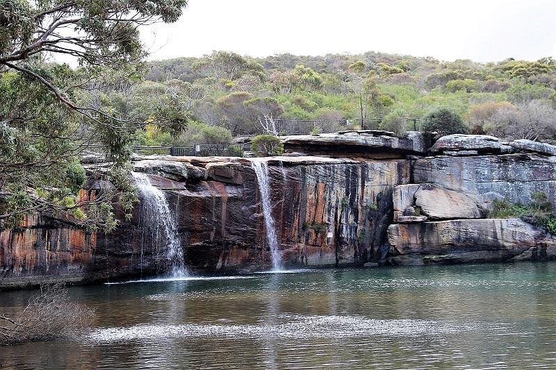 event-img-Exclusive Royal National Park Private Day Tour