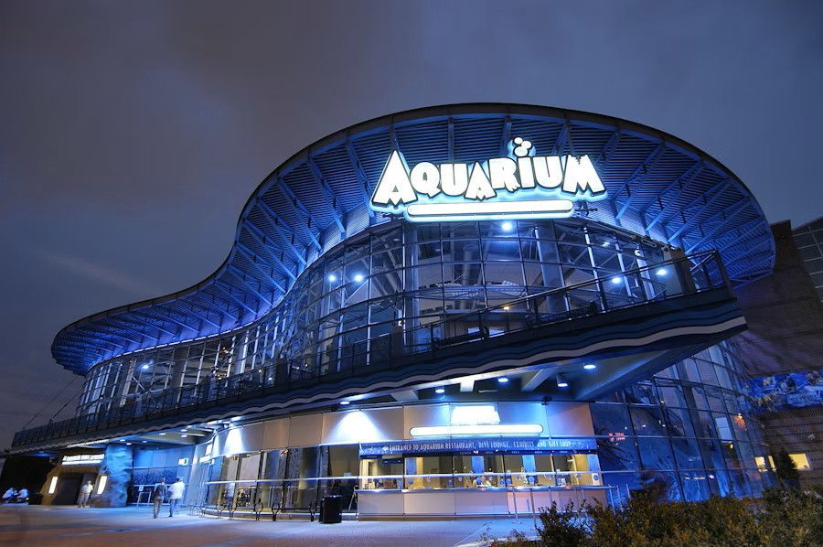 event-img-Explore Marine Life at Denver Downtown Aquarium