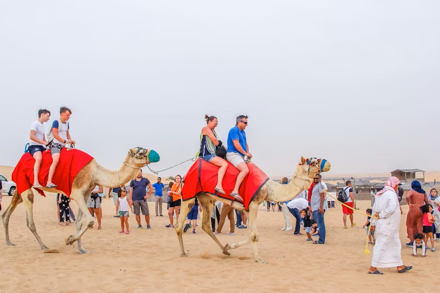 event-img-Dubai Desert Safari: Camel Riding, Entertainment Show & Dinner
