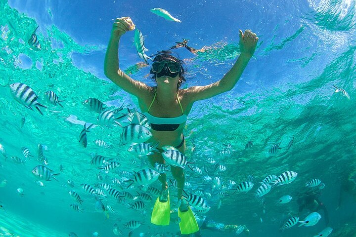 event-img-Coral Reefs & Crystal Waters: Fujairah Snorkeling Trip
