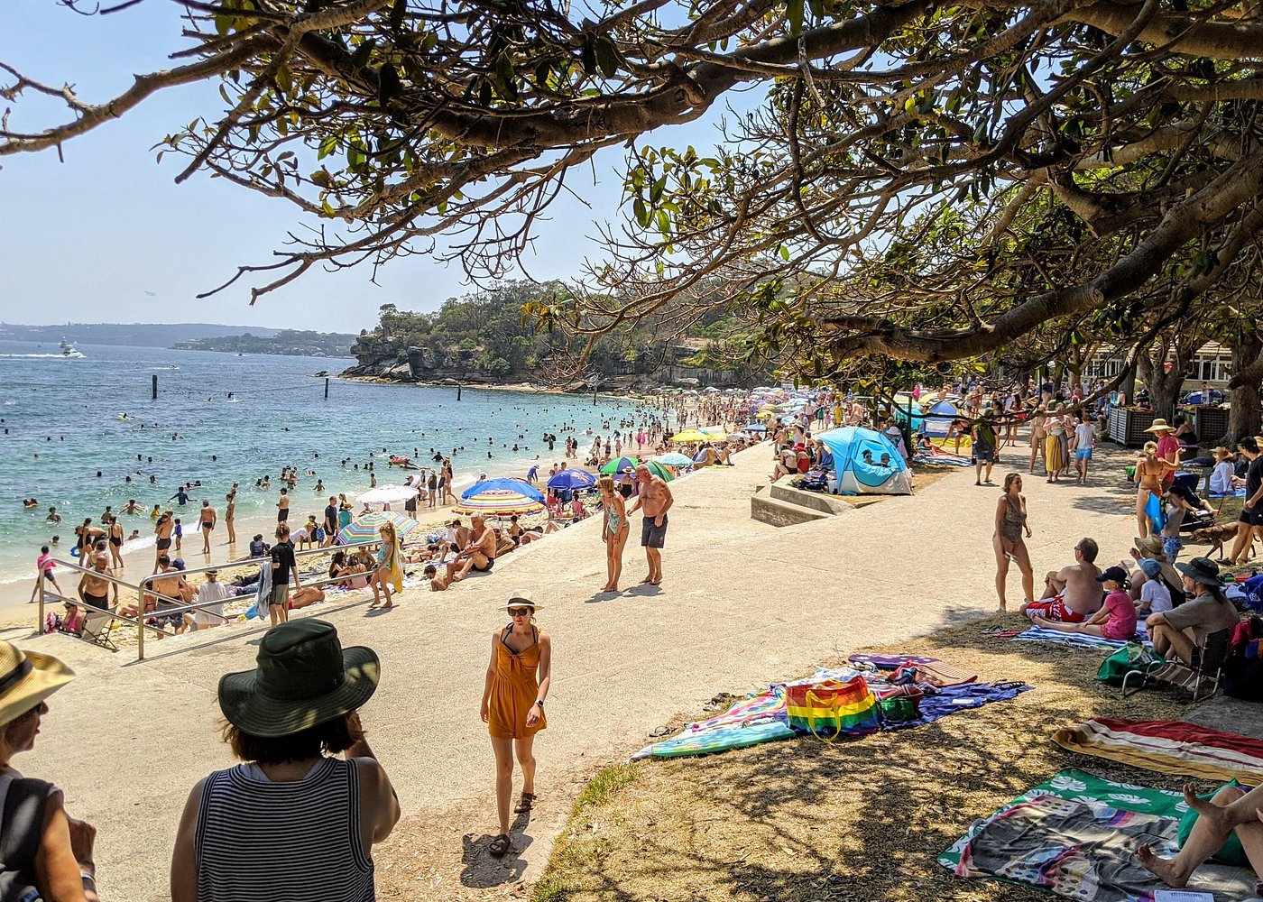 event-img-Sydney Full-Day Private Tour: The Rocks, Watsons Bay & Bondi Beach