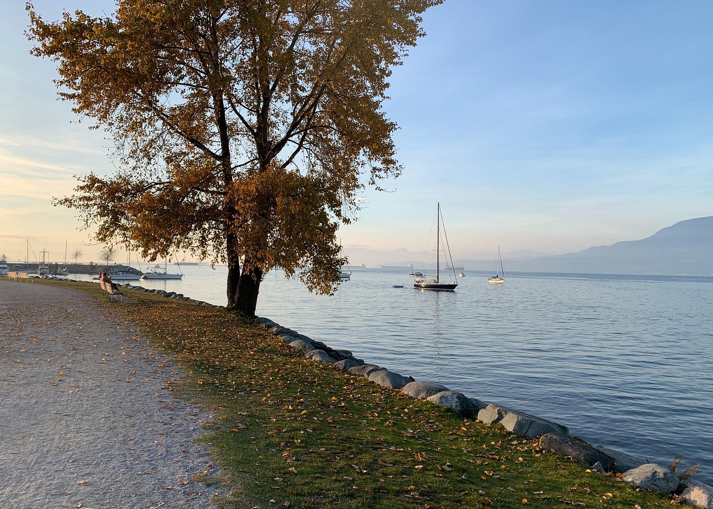 event-img-Vancouver Guided Bike / E-Bike Waterfront Tour