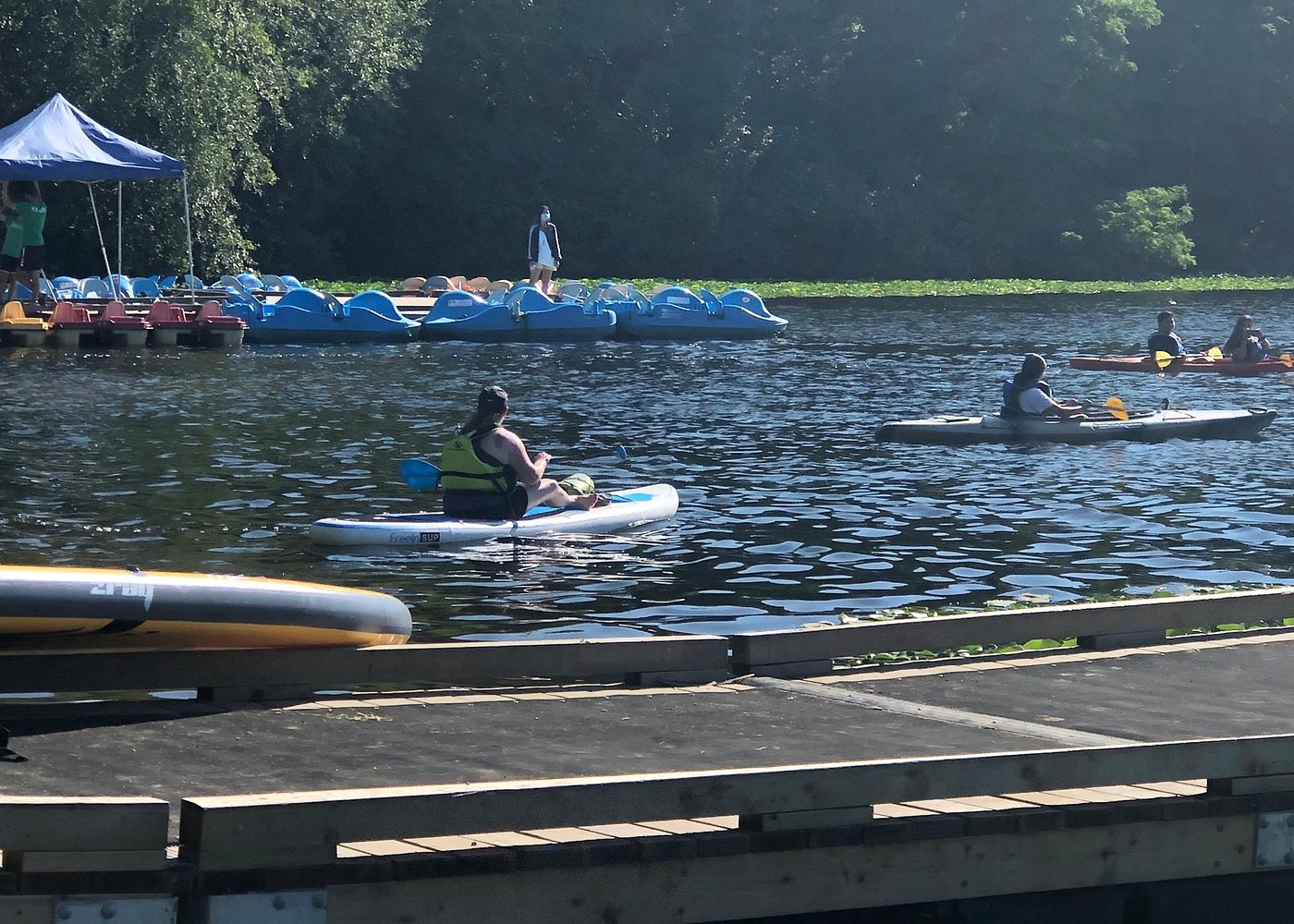 event-img-Explore Vancouver by Kayak on a Scenic Tour