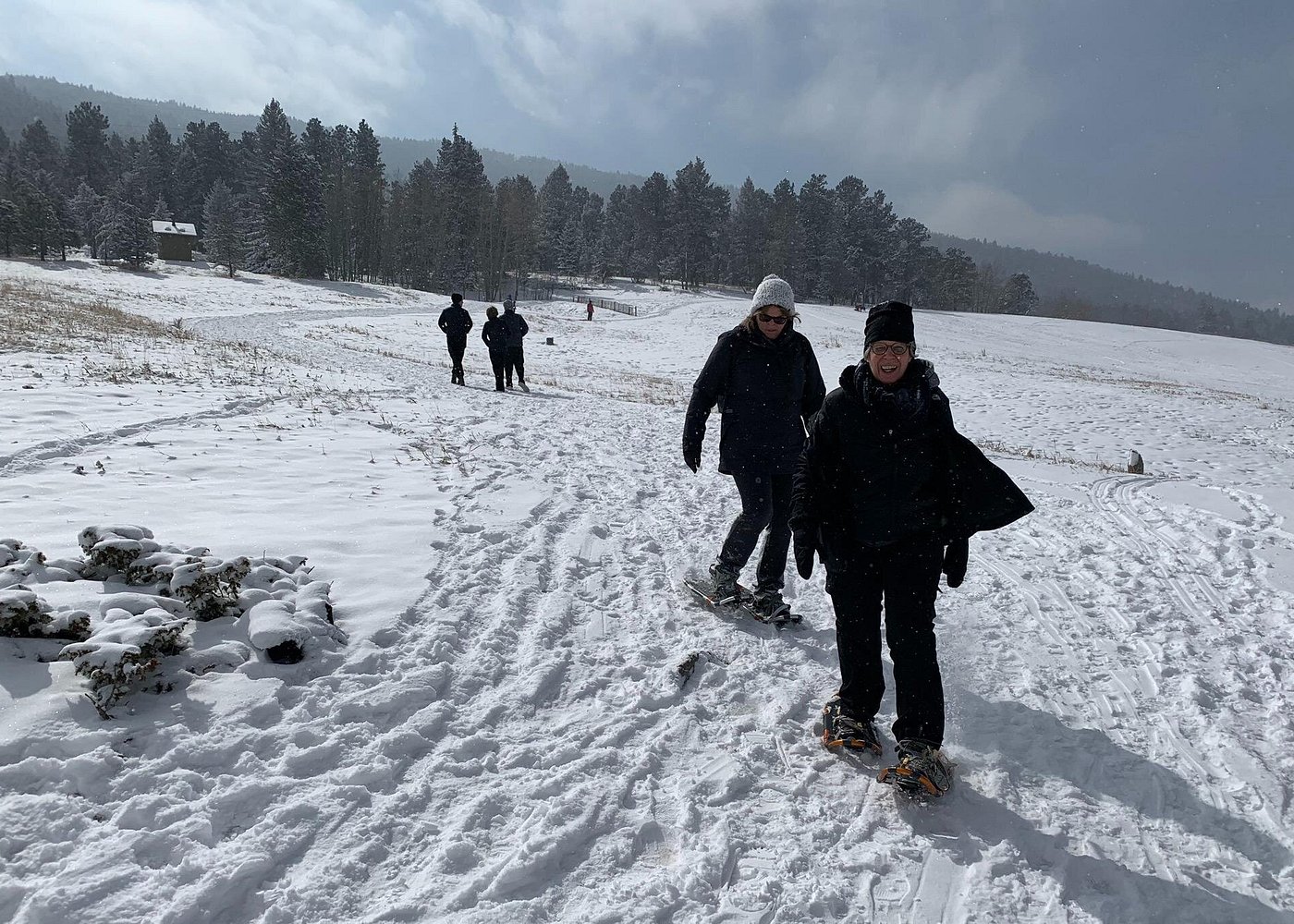 Peaceful Winter Escape: Rocky Mountain Snowshoeing Experience