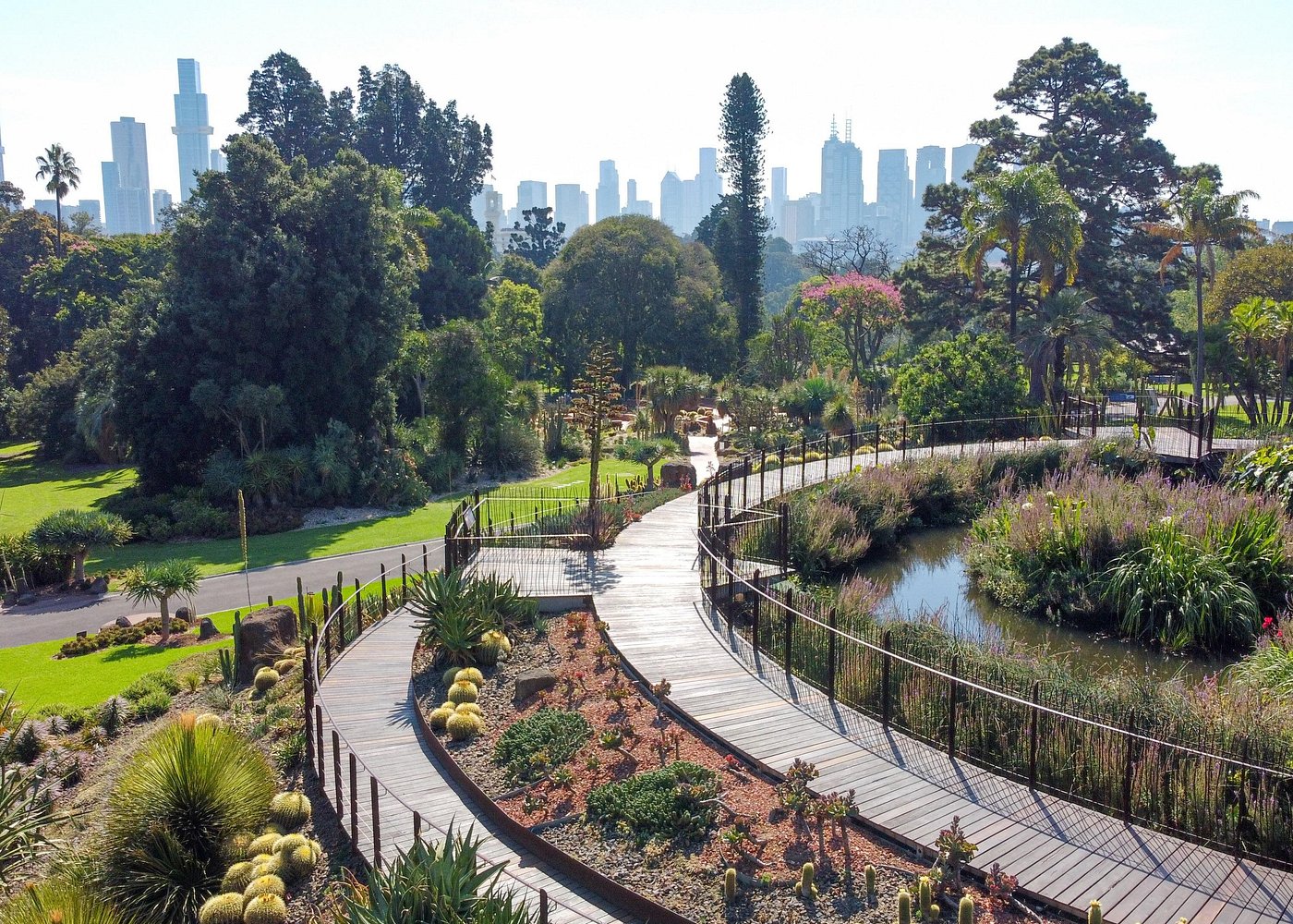 The Explorer: Guided Melbourne Gardens Experience